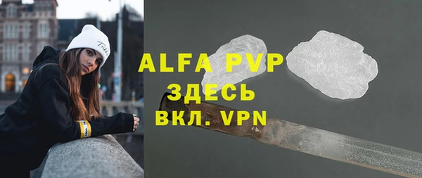 амф Кадников